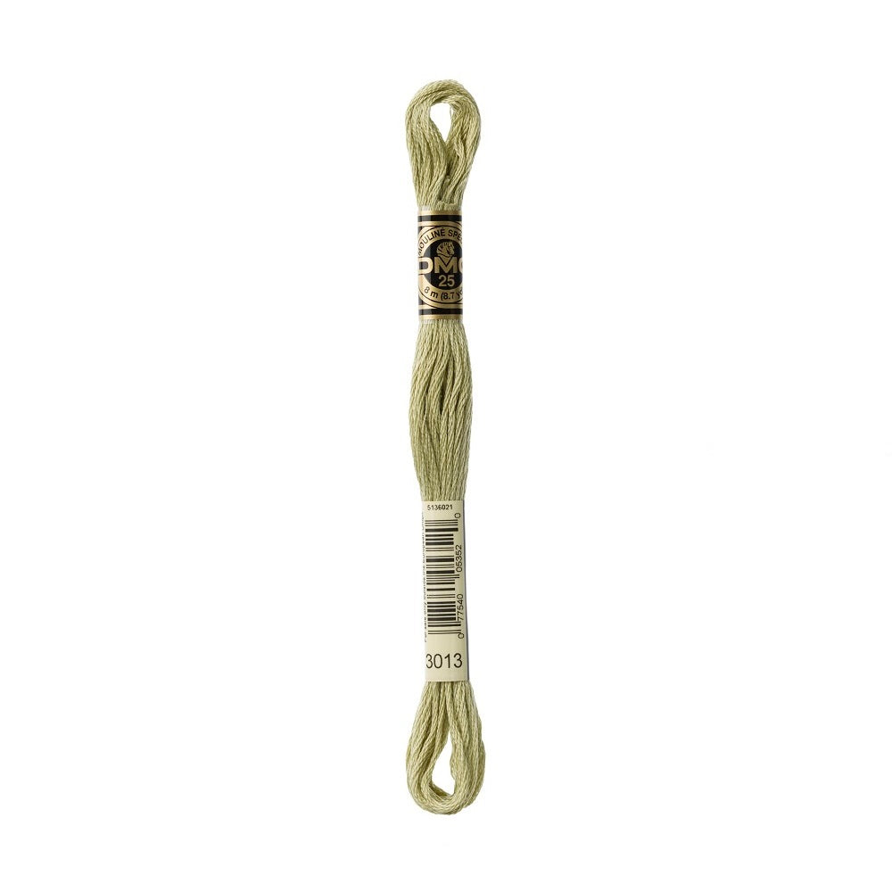 DMC Special cotton embroidery floss (art. 117) (#801-3860)