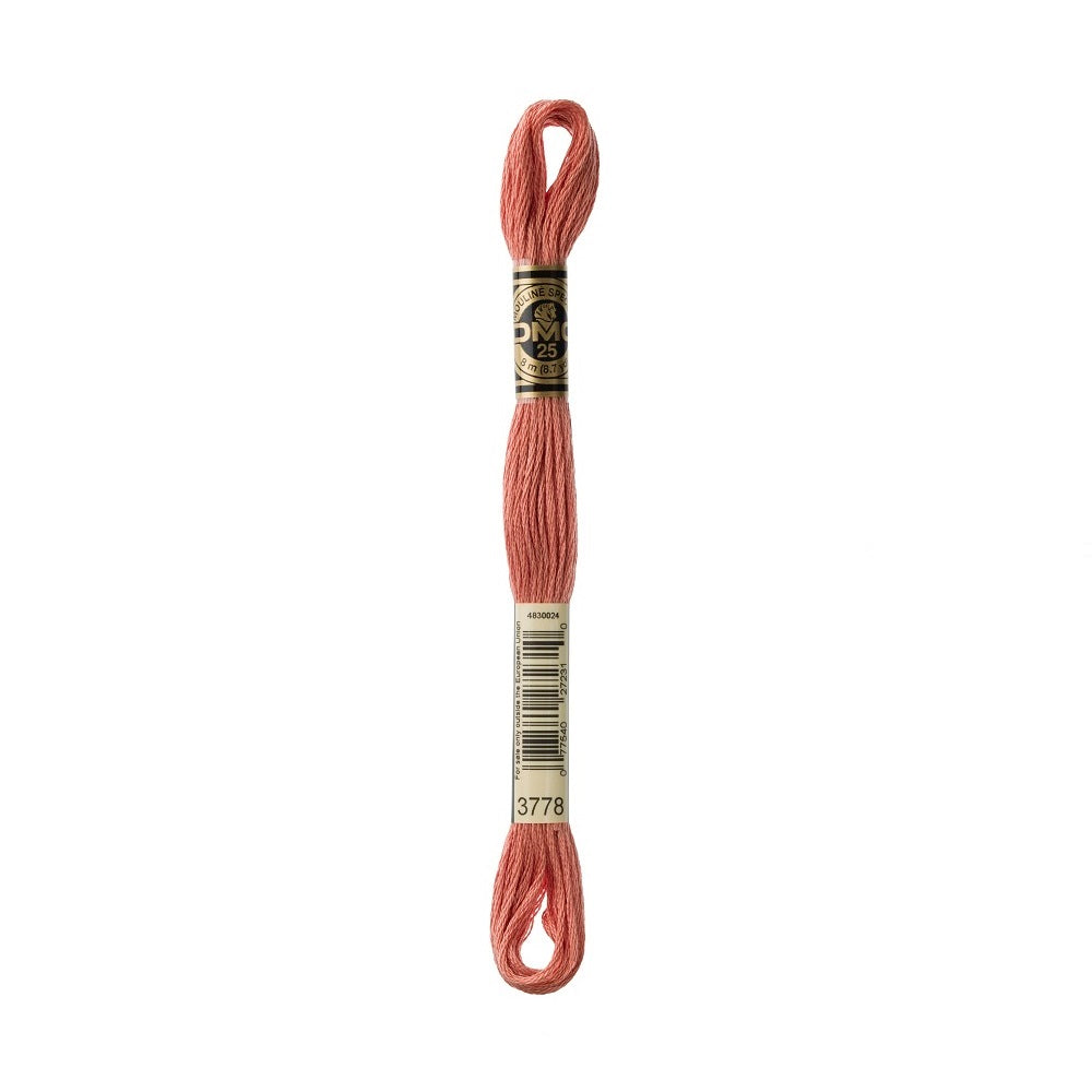 DMC Special cotton embroidery floss (art. 117) (#801-3860)