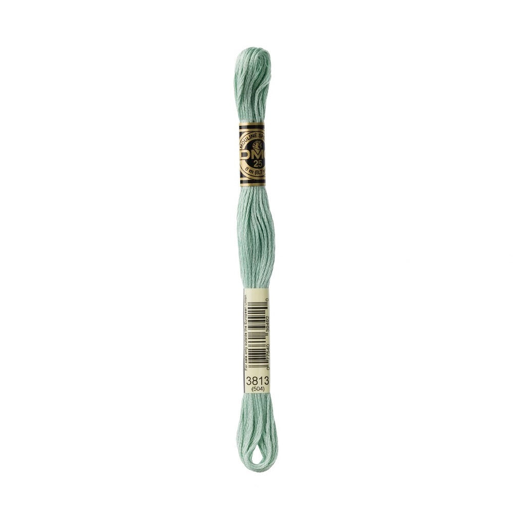 DMC Special cotton embroidery floss (art. 117) (#801-3860)