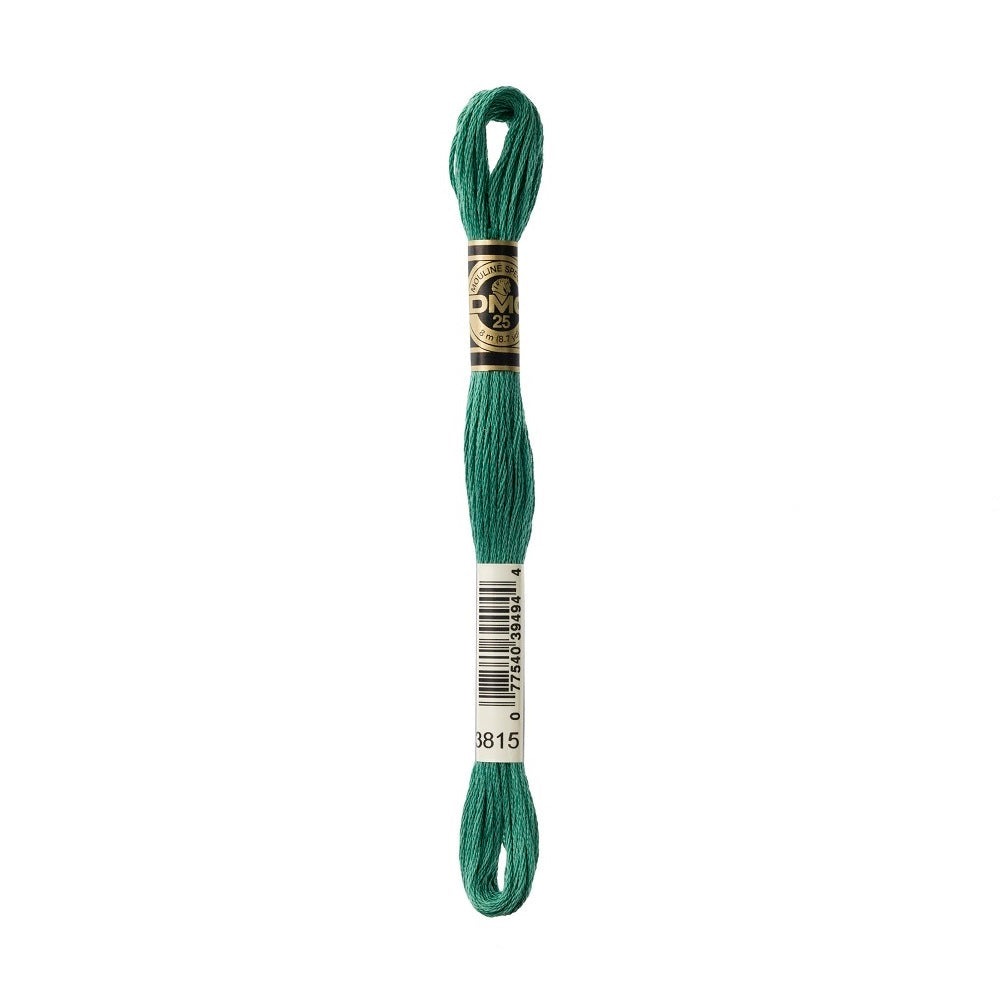 DMC Special cotton embroidery floss (art. 117) (#801-3860)