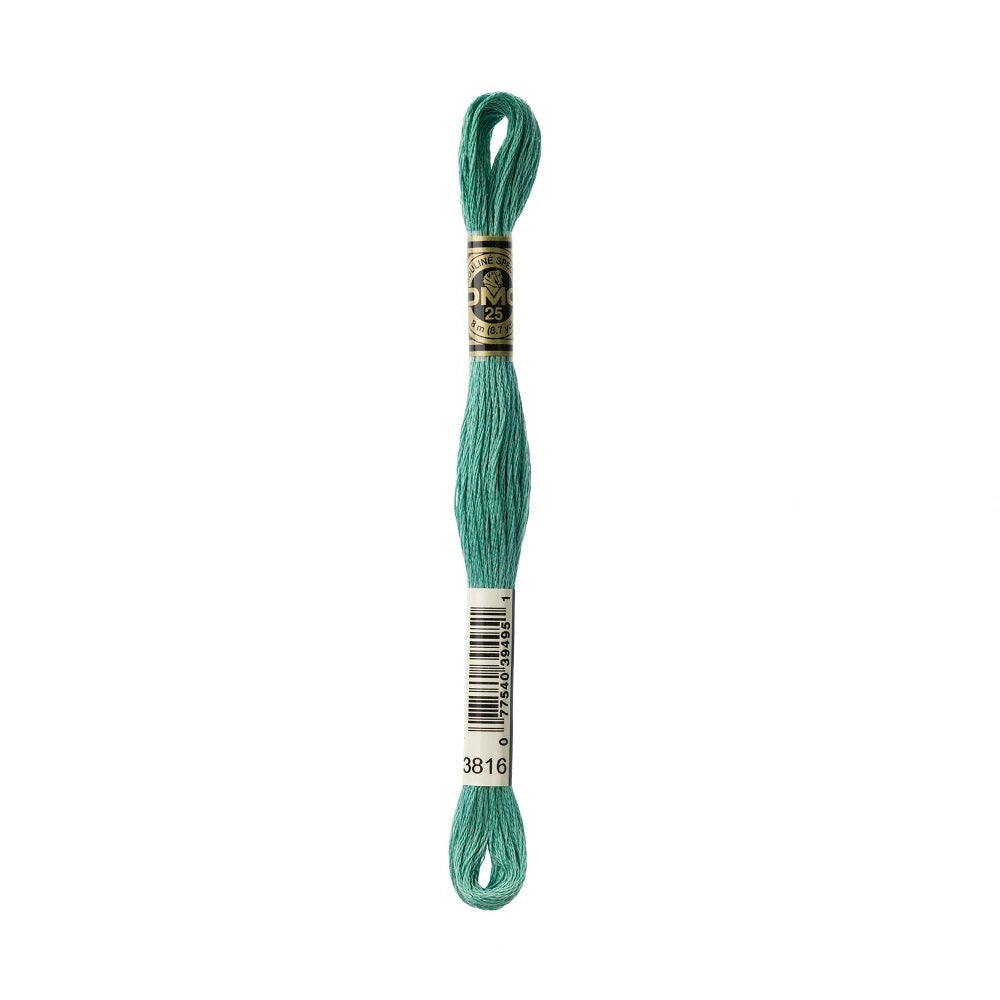 DMC Special cotton embroidery floss (art. 117) (#801-3860)