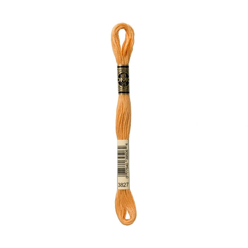 DMC Special cotton embroidery floss (art. 117) (#801-3860)