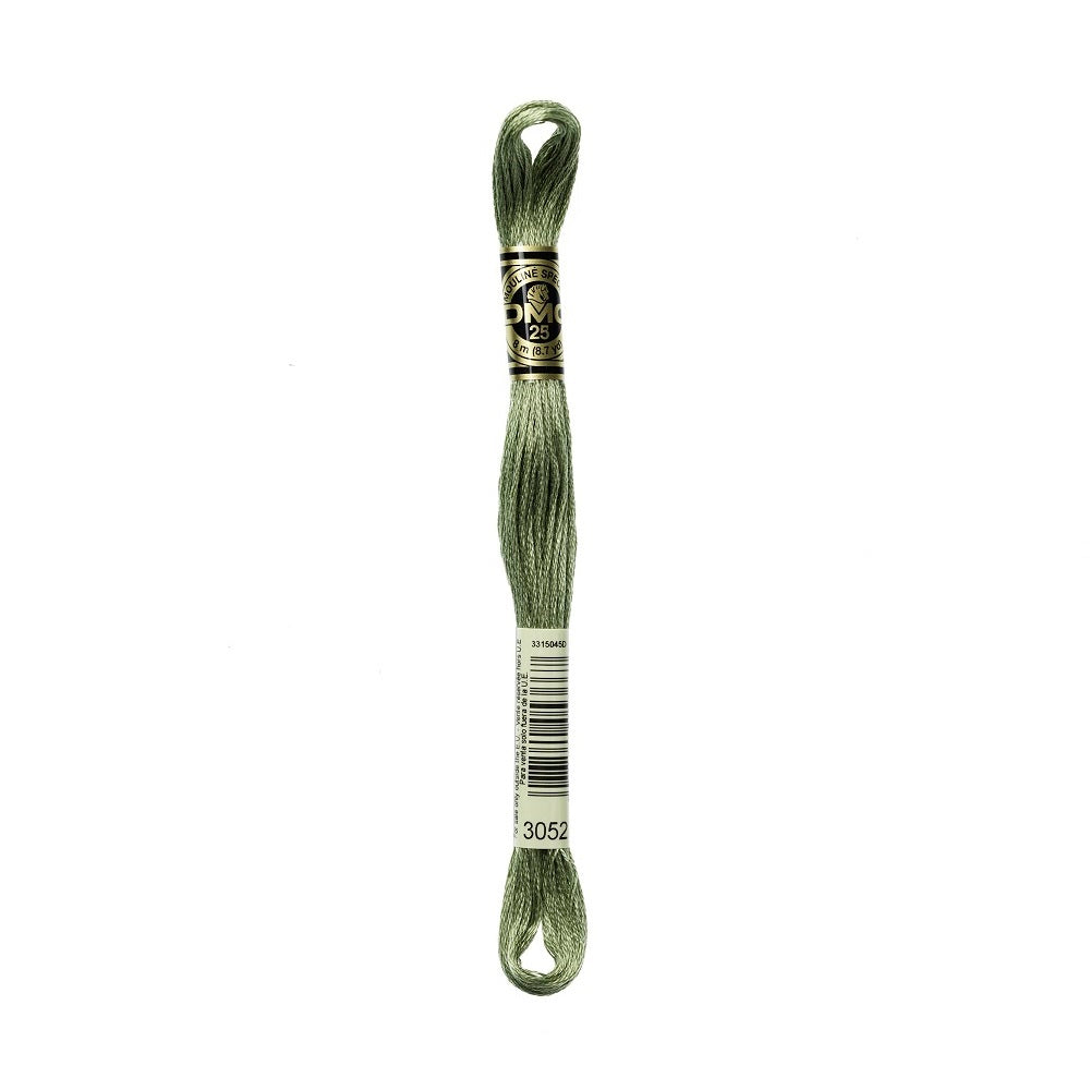 DMC Special cotton embroidery floss (art. 117) (#801-3860)
