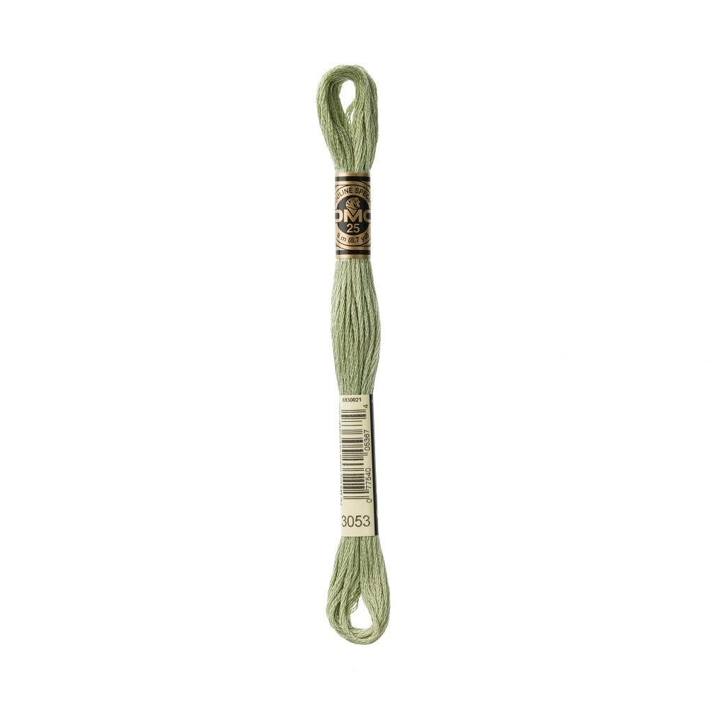 DMC Special cotton embroidery floss (art. 117) (#801-3860)