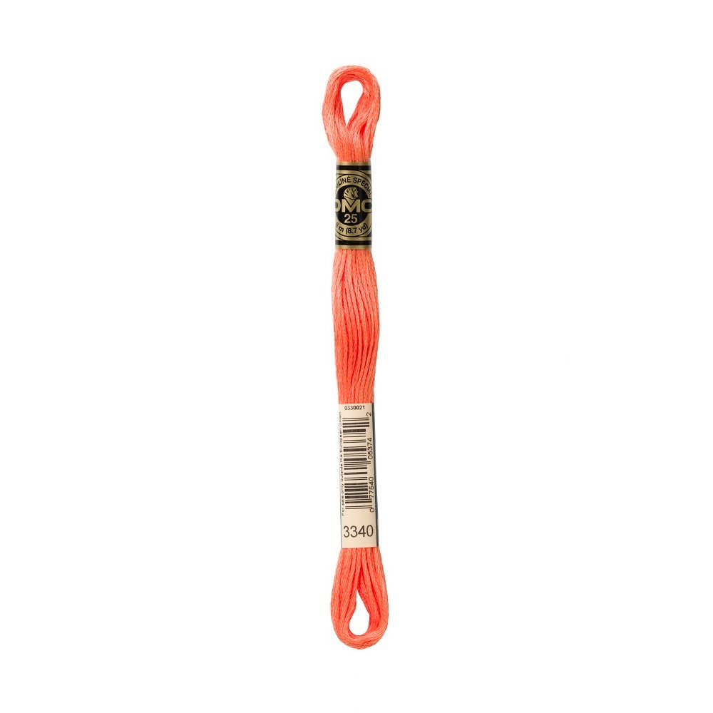 DMC Special cotton embroidery floss (art. 117) (#801-3860)
