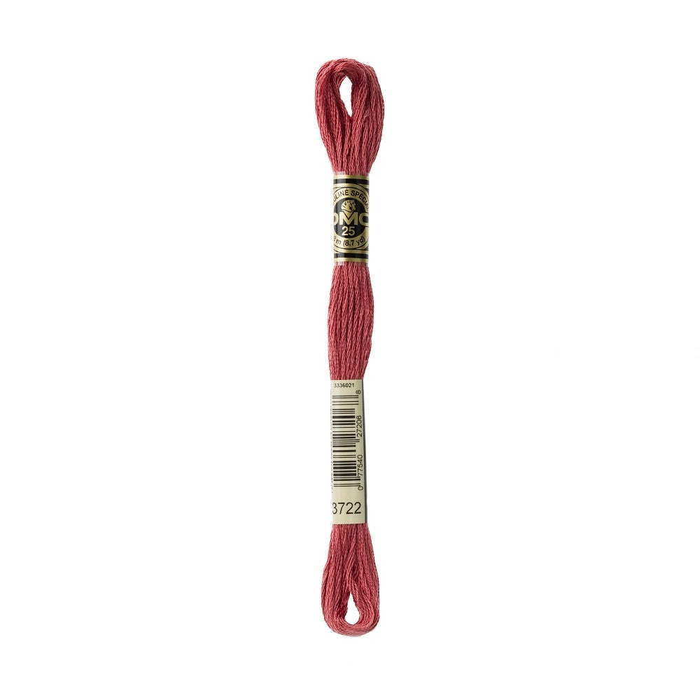 DMC Special cotton embroidery floss (art. 117) (#801-3860)