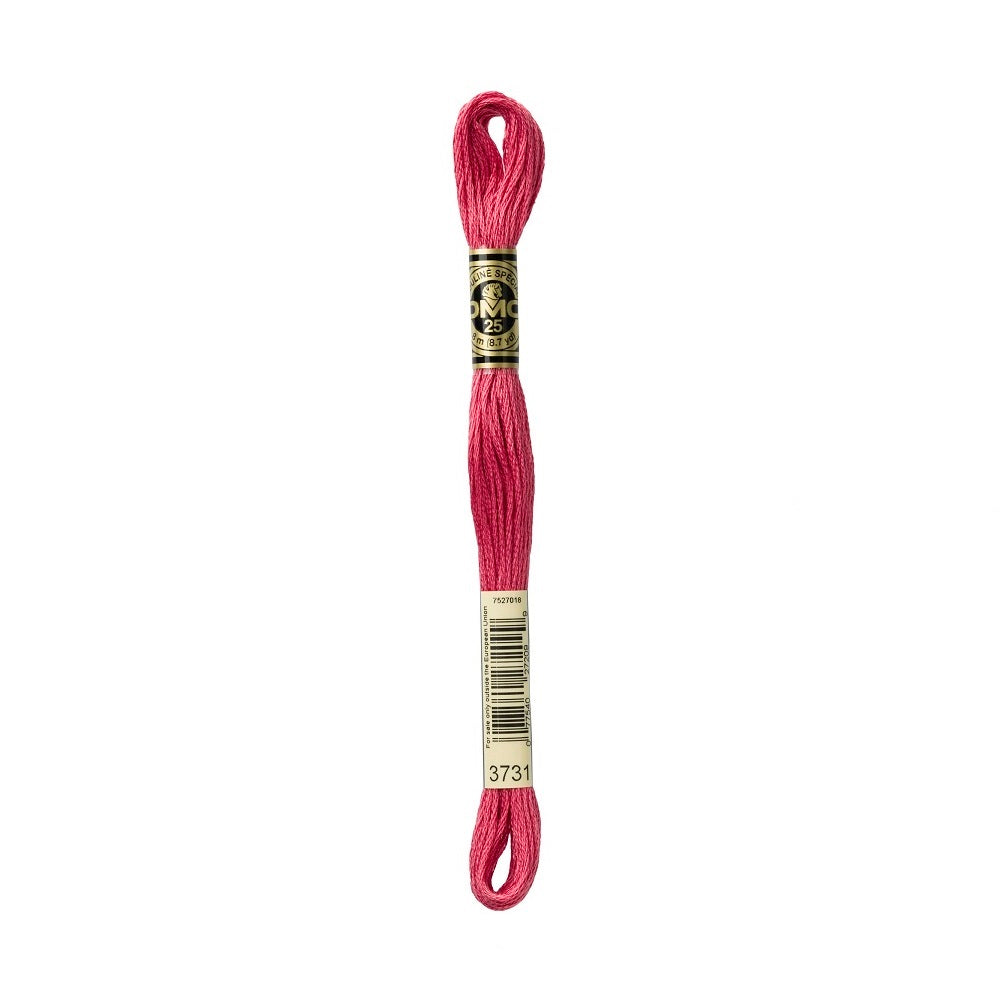 DMC Special cotton embroidery floss (art. 117) (#801-3860)