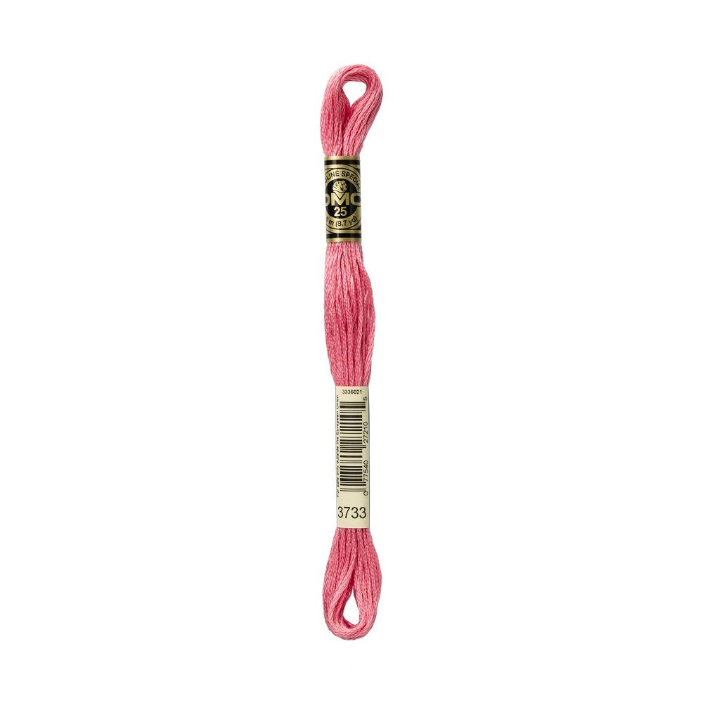 DMC Special cotton embroidery floss (art. 117) (#801-3860)