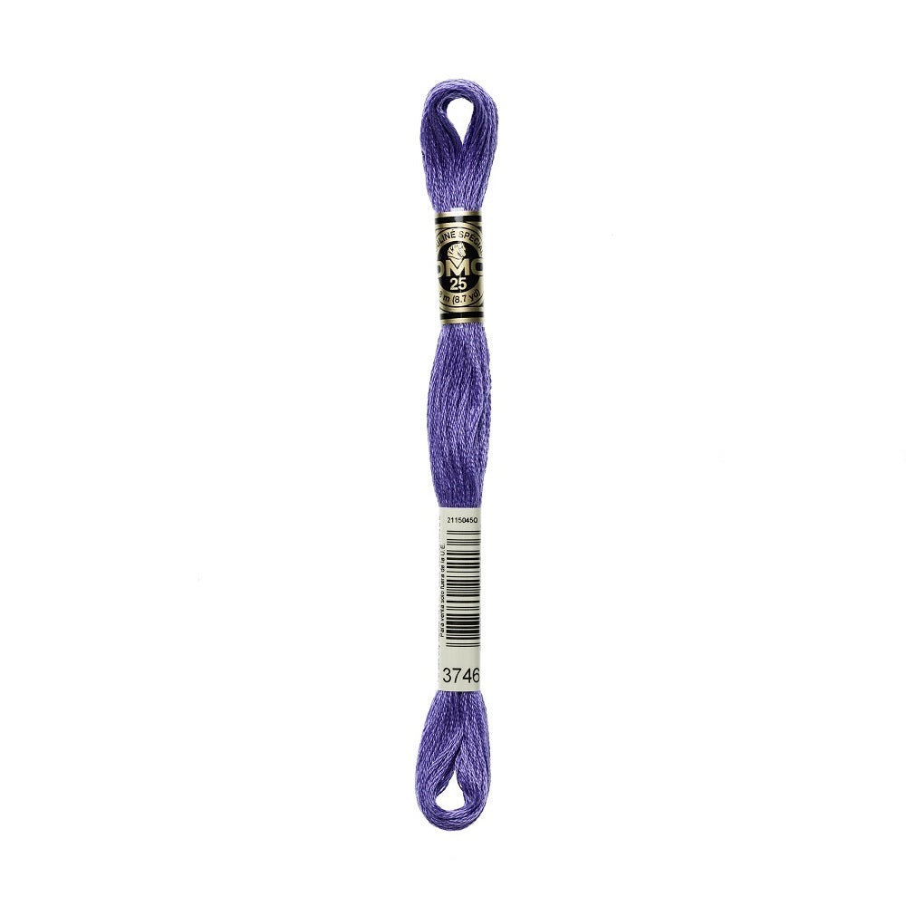 DMC Special cotton embroidery floss (art. 117) (#801-3860)