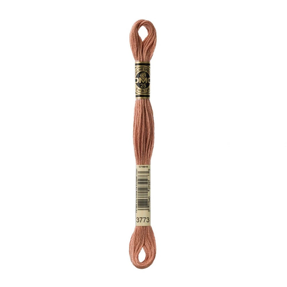 DMC Special cotton embroidery floss (art. 117) (#801-3860)