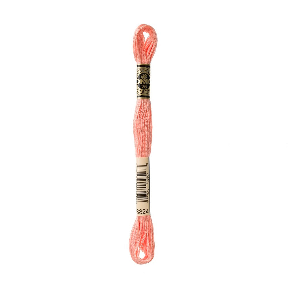 DMC Special cotton embroidery floss (art. 117) (#801-3860)