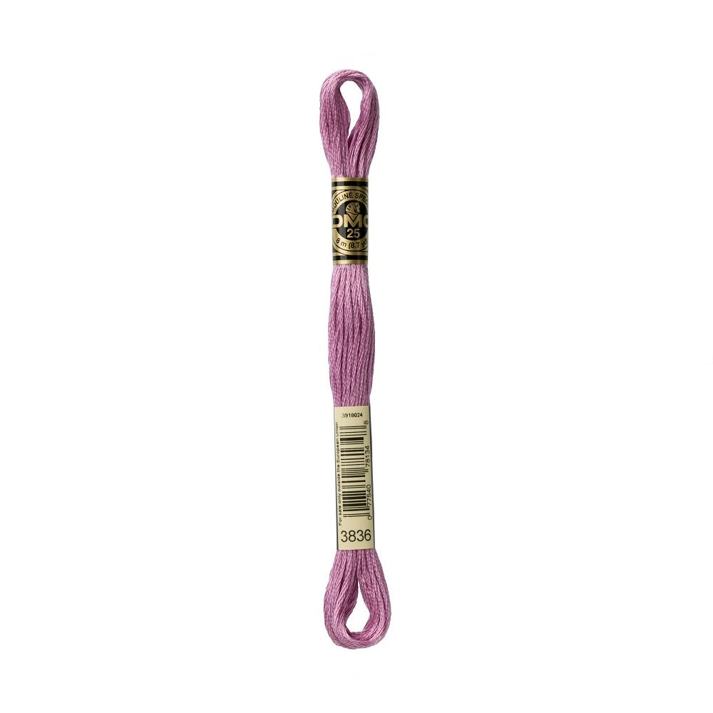 DMC Special cotton embroidery floss (art. 117) (#801-3860)