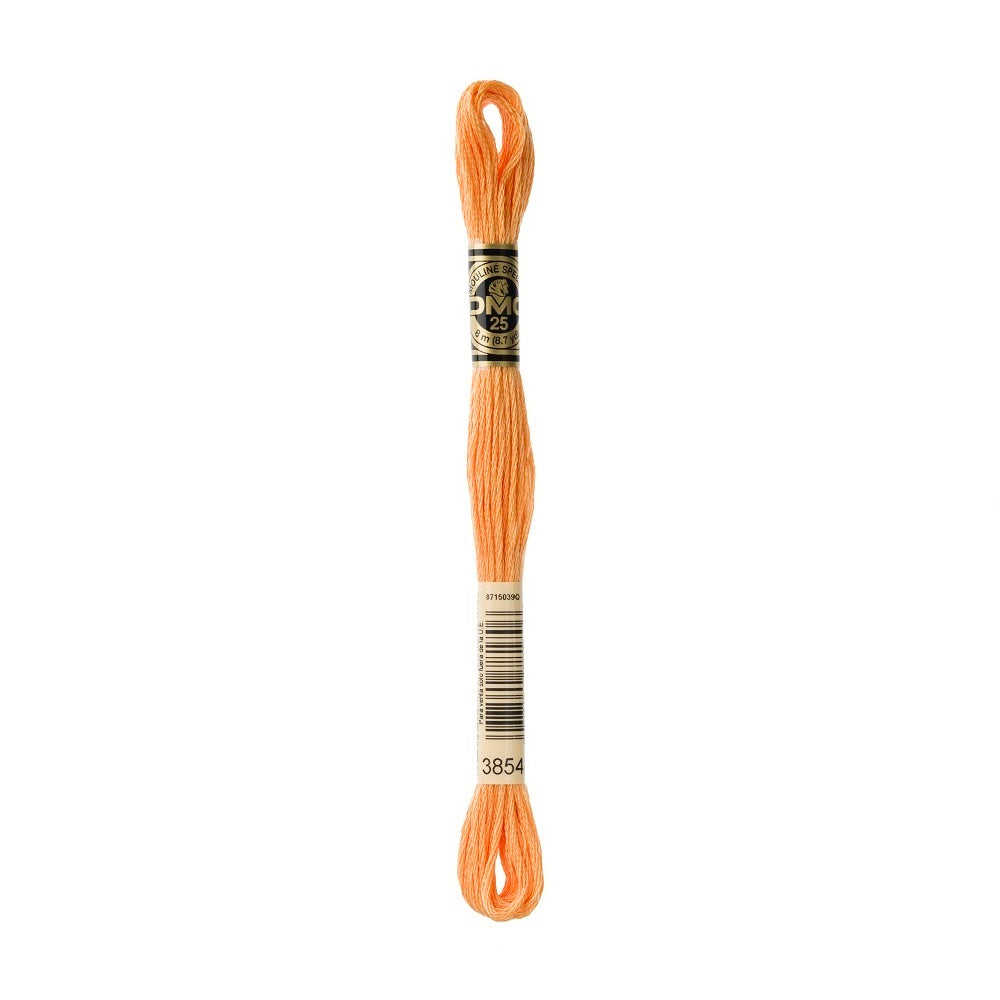 DMC Special cotton embroidery floss (art. 117) (#801-3860)