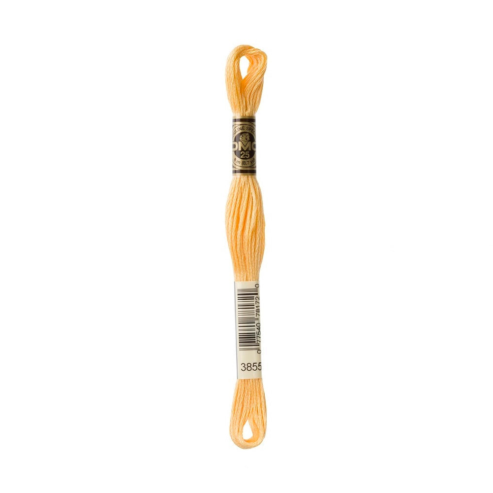 DMC Special cotton embroidery floss (art. 117) (#801-3860)