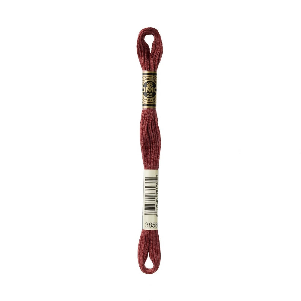 DMC Special cotton embroidery floss (art. 117) (#801-3860)