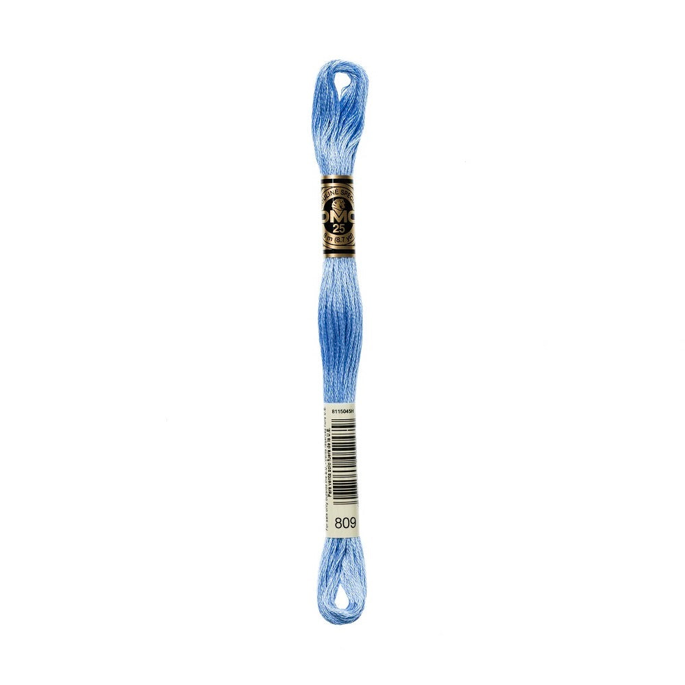 DMC Special cotton embroidery floss (art. 117) (#801-3860)