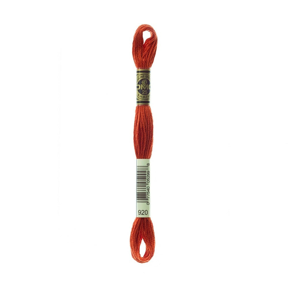 DMC Special cotton embroidery floss (art. 117) (#801-3860)