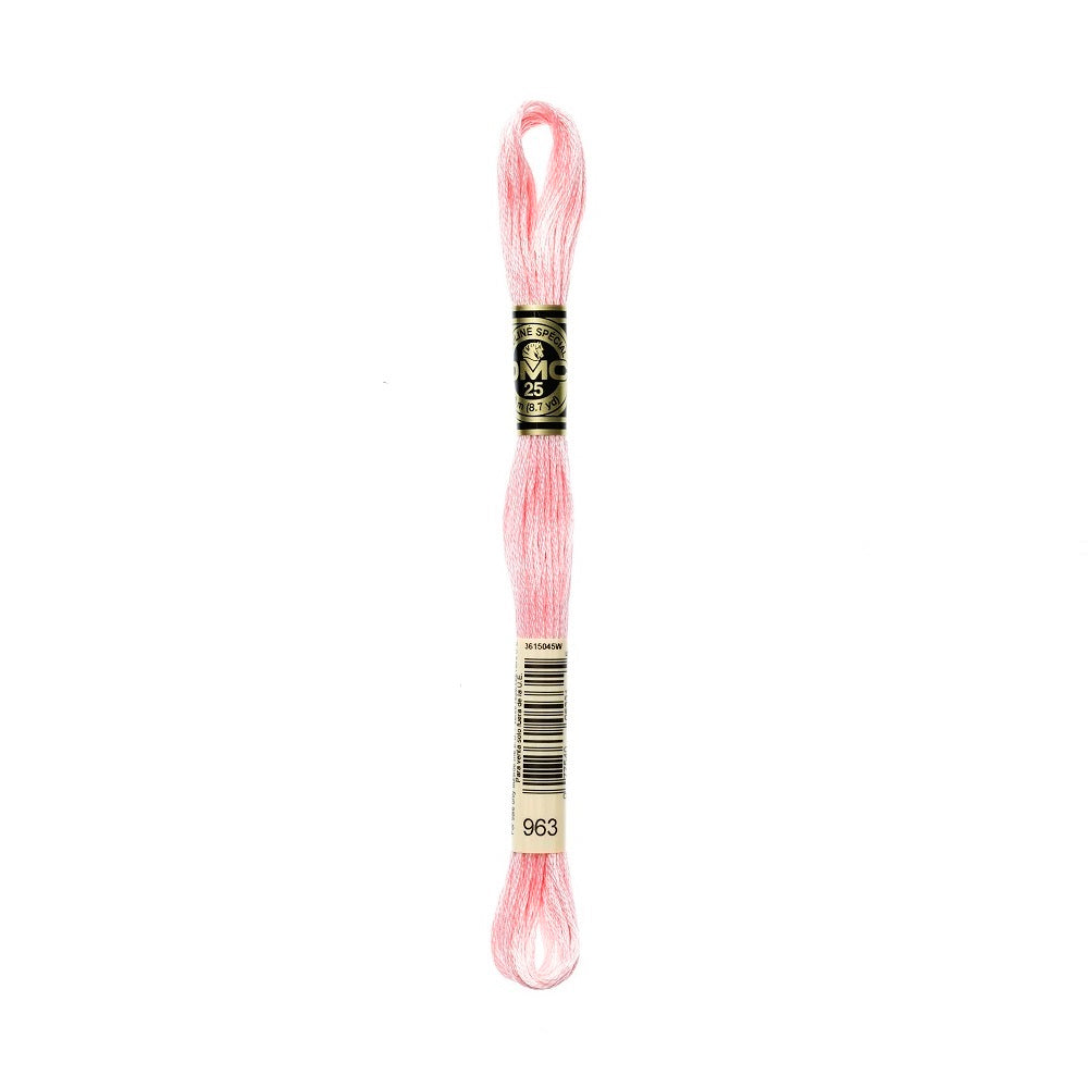 DMC Special cotton embroidery floss (art. 117) (#801-3860)