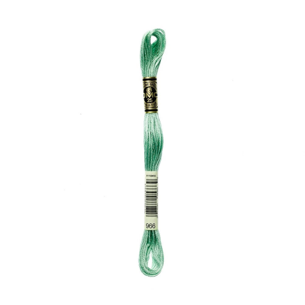 DMC Special cotton embroidery floss (art. 117) (#801-3860)