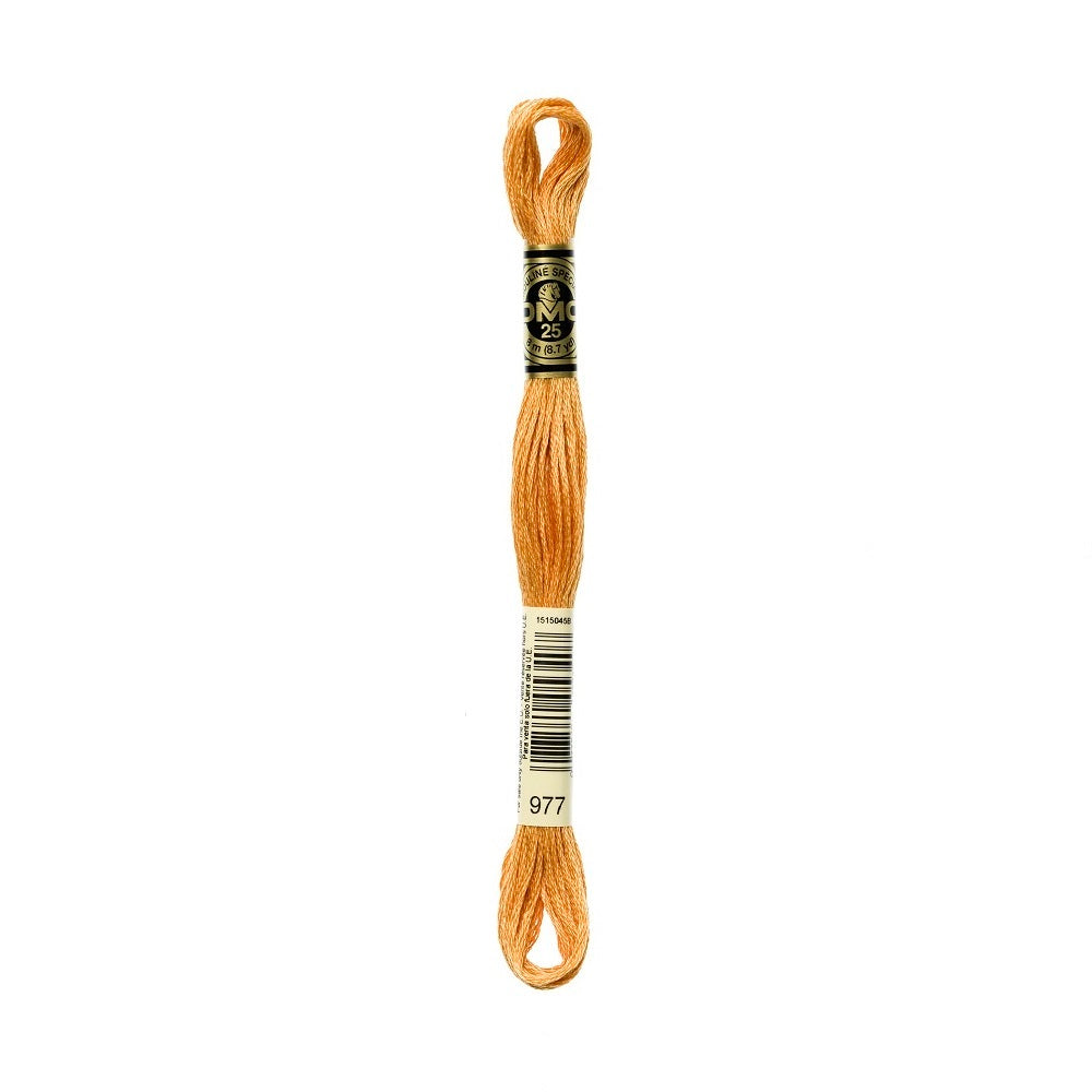 DMC Special cotton embroidery floss (art. 117) (#801-3860)